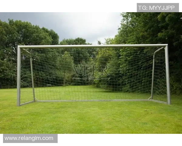 足球明星私宅揭秘：豪华足球场与家庭生活的完美结合